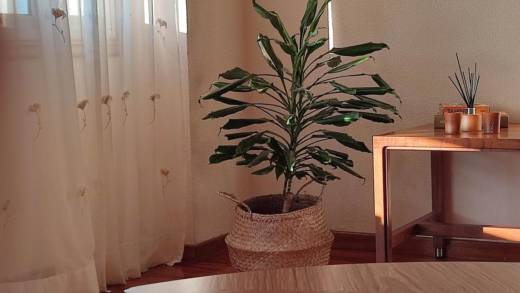 Duplex Acogedor Camino Ingles A 10 Min De Santiago Apartman Sigueiro Kültér fotó
